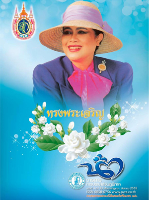 วารสารน้ำ กปภ. ../zip/waterbook201208.zip